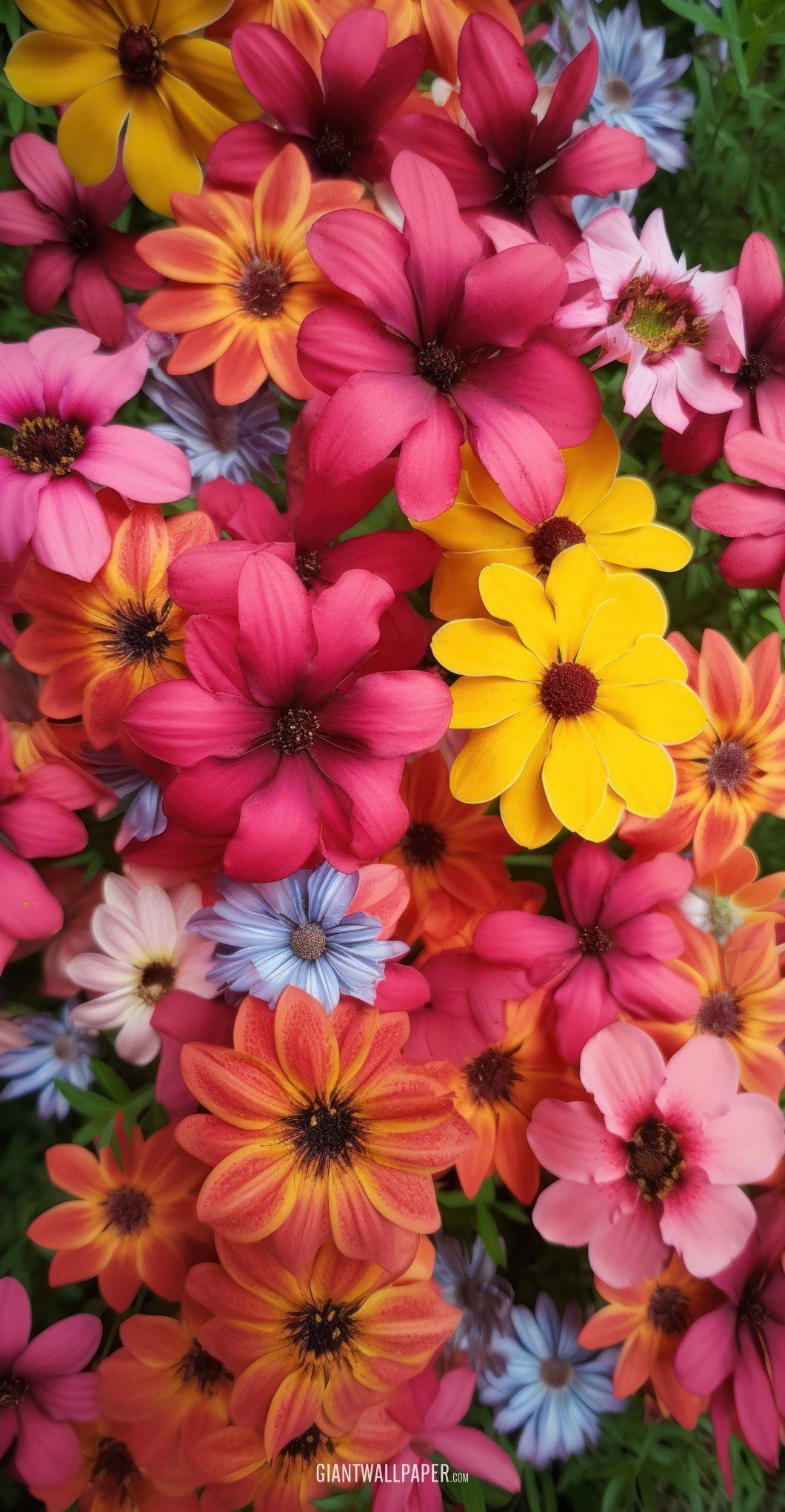 1000 colorful flowers