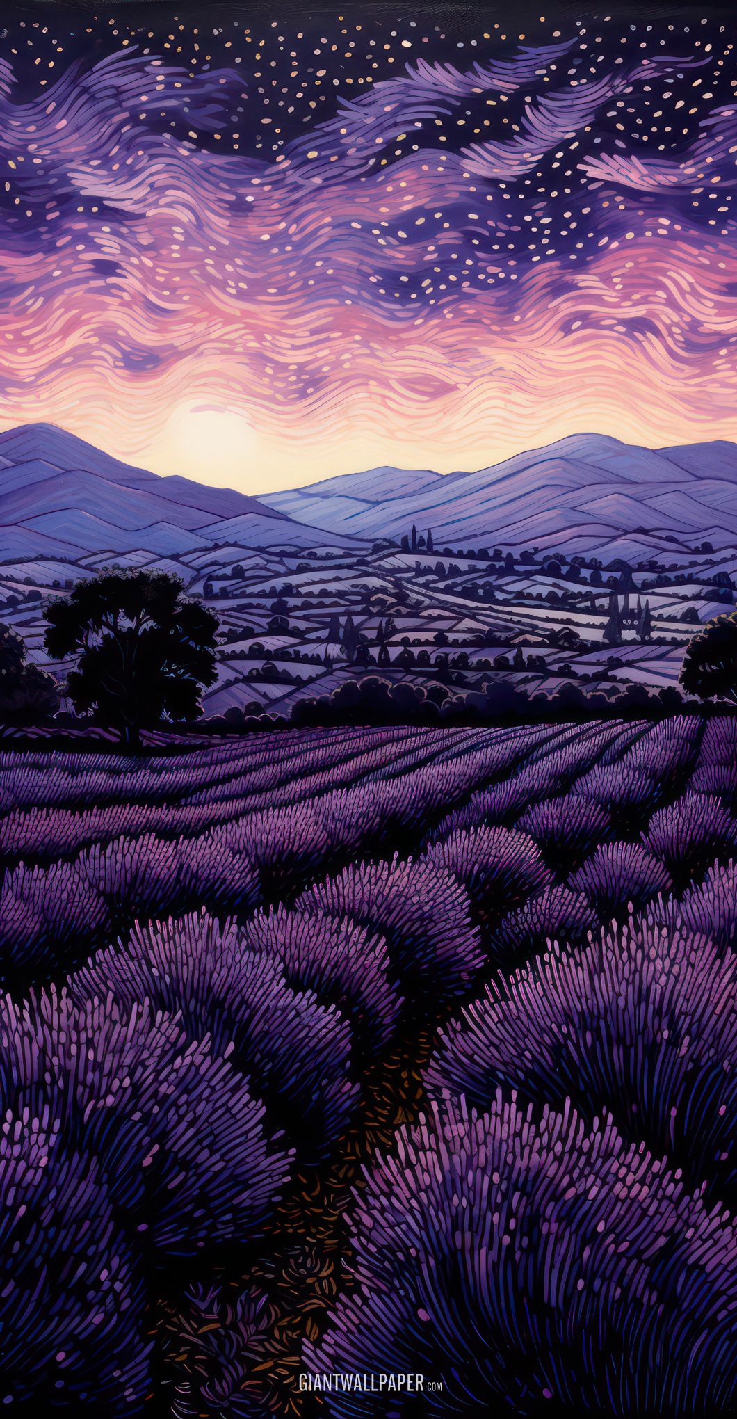 Lavender Fields