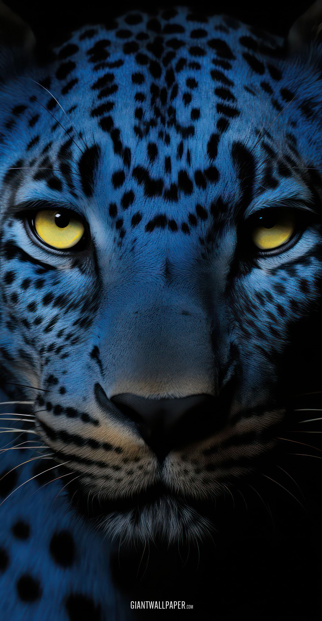 Leopard in the Night