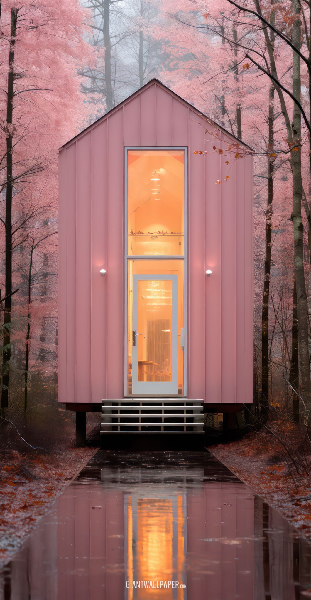 Pink House in the Forest