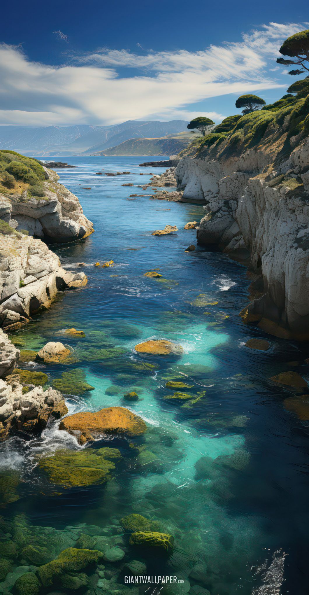 Shoreline with Clear Turquoise Water