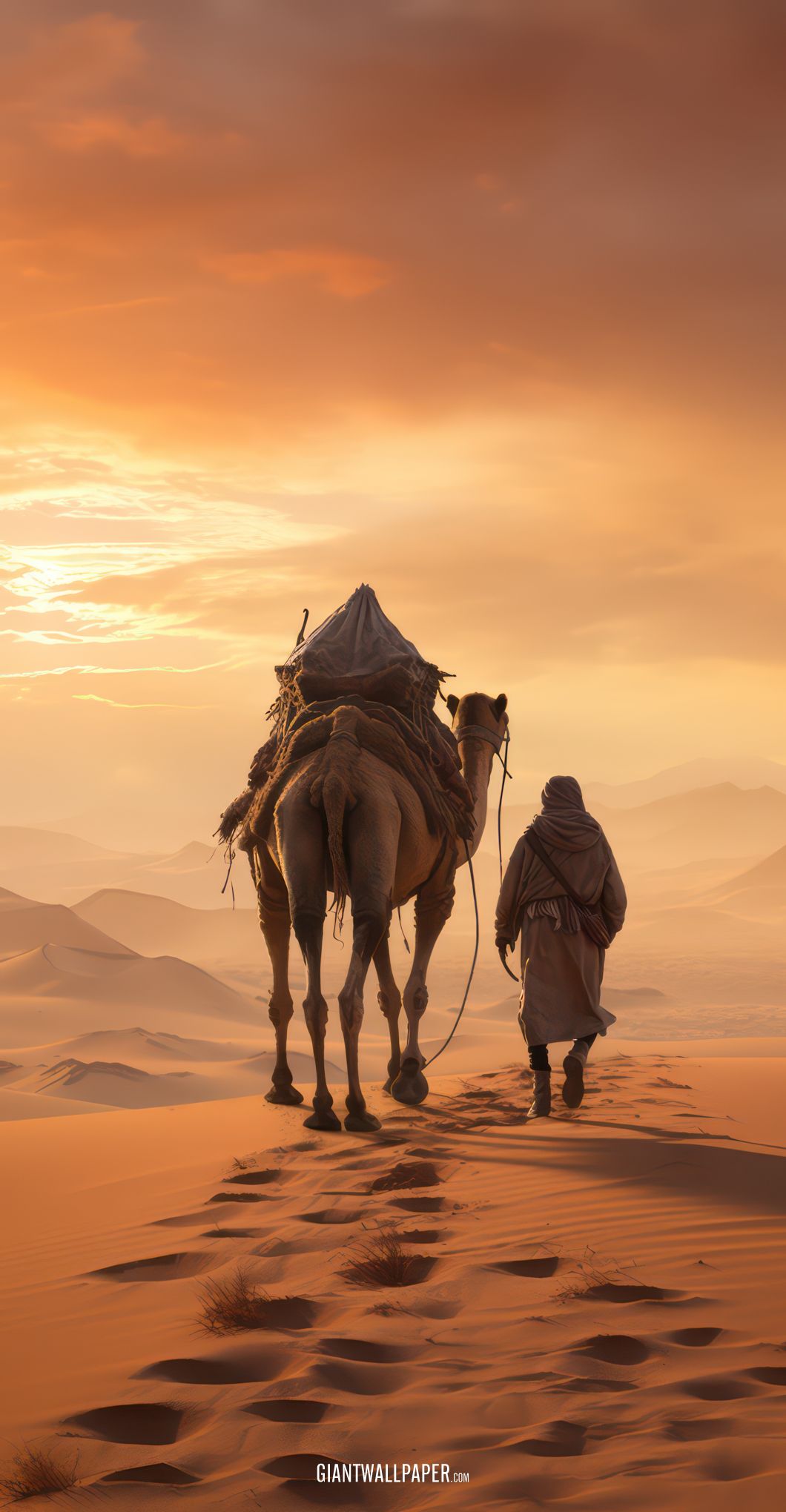 Travel with Camels