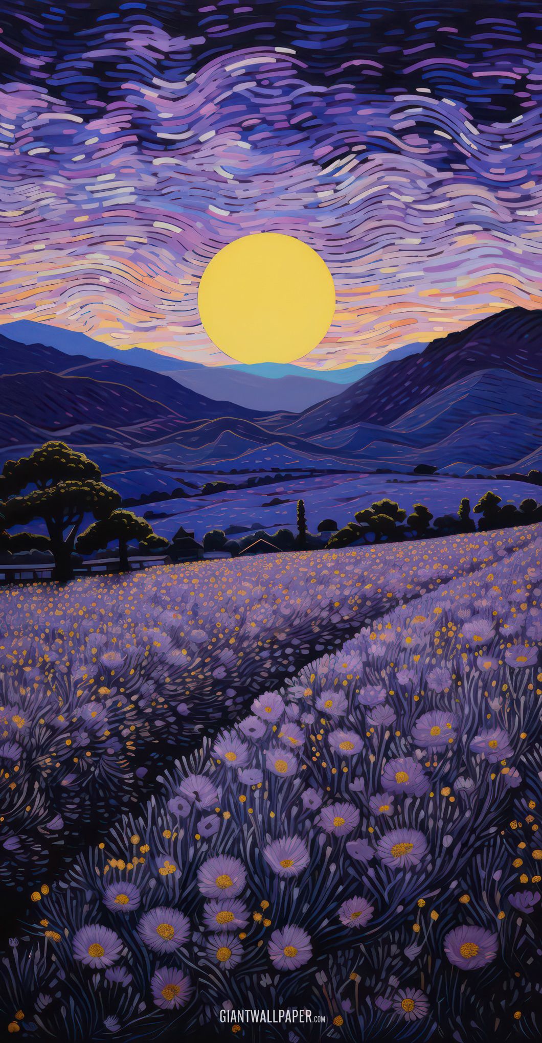 Lavender Fields