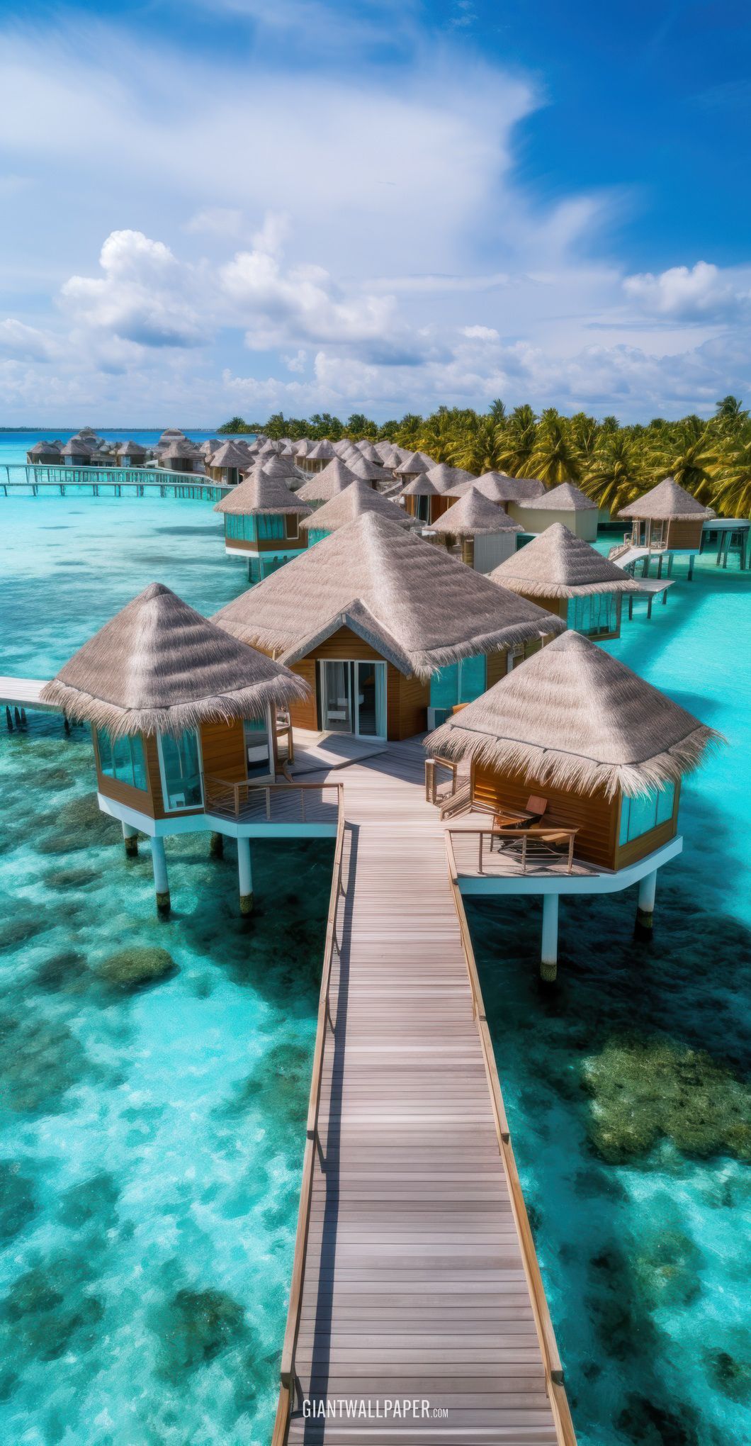 Maldives Resort