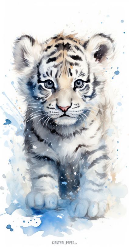 Cute White Tiger Baby, Animal, Wildlife