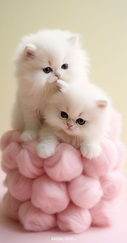 Charming image featuring two cute kittens joyfully interacting with soft pink balls, creating a heartwarming and playful moment.