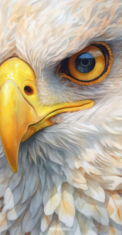 A captivating image featuring a closeup of an eagles face, capturing the intensity of its gaze and showcasing the wild beauty of this magnificent bird.