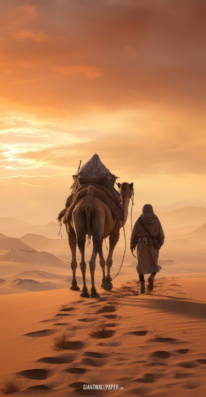 Travel with Camels, Desert, Sand, Hot