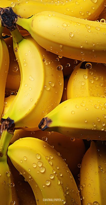 Indulge in the goodness of fresh yellow bananas, bursting with natural sweetness and abundant nutrients. These ripe and vibrant tropical fruits are a perfect choice for healthy snacks, rich in potassium, and sure to energize your day.