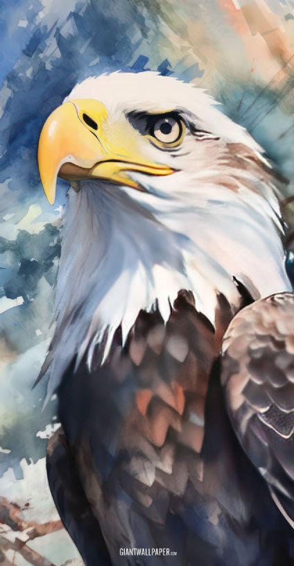 Bald Eagle, Bird