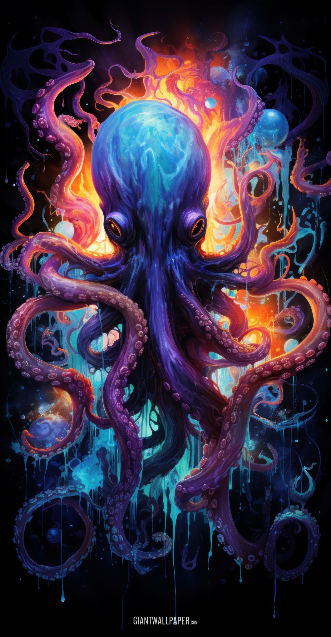 Colorful Octopus