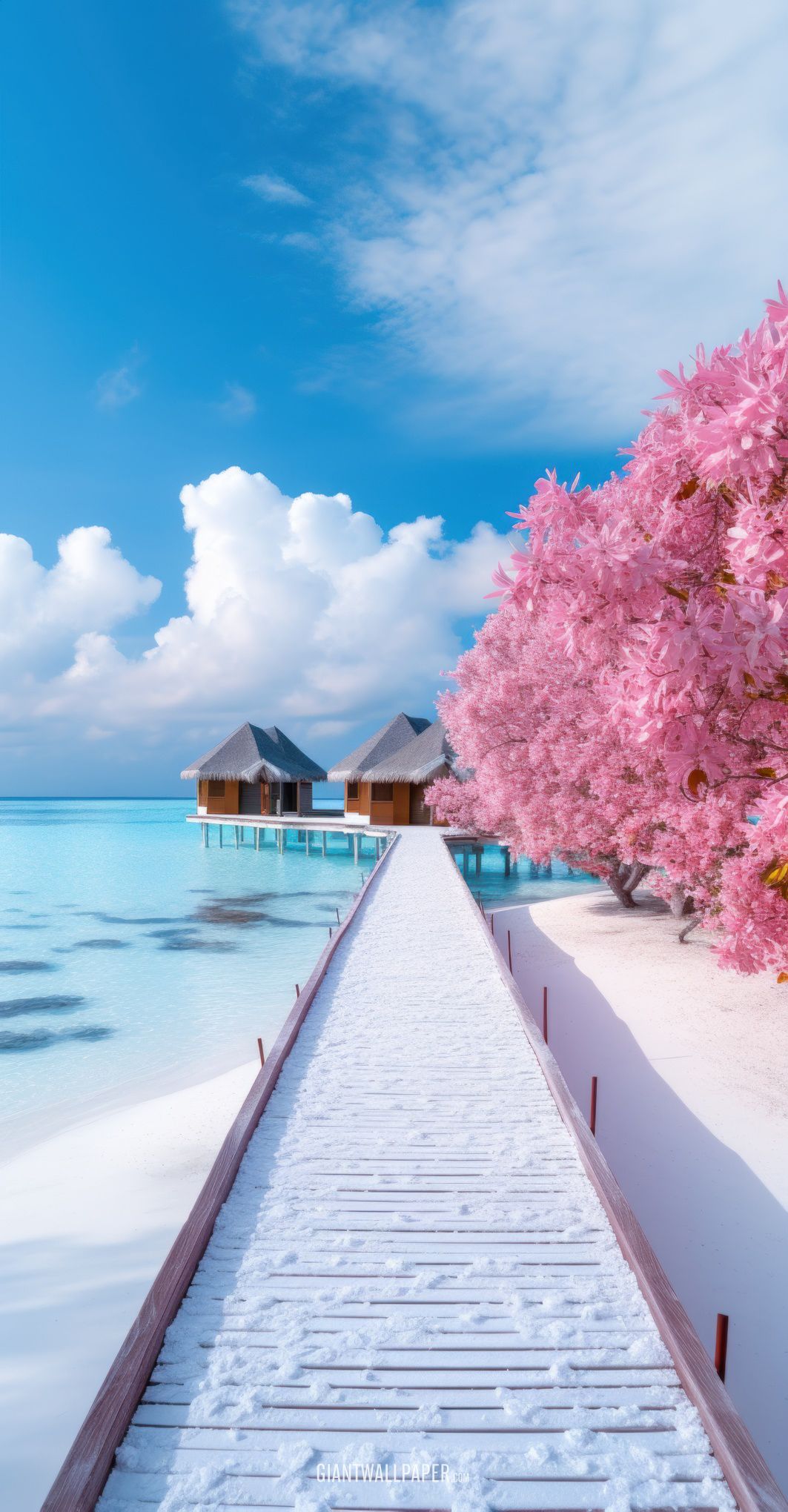 Blue sky day in the Maldives